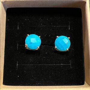 Sundance Gold and Blue Earrings